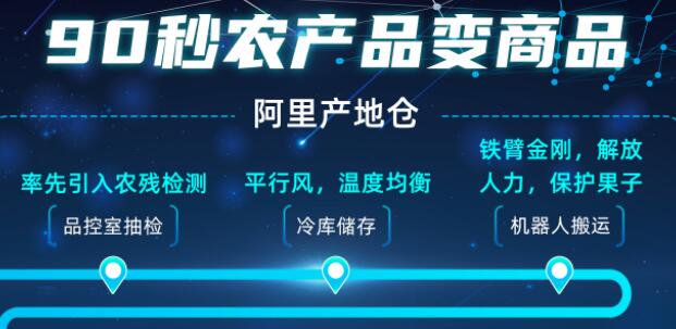 与机器人做同事是什么感觉？阿里巴巴一个新项目曝光