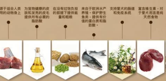 2024年营销趋势盘点：听劝营销的崛起与消费者声音的力量